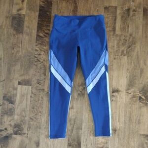Fabletics Blue Leggings